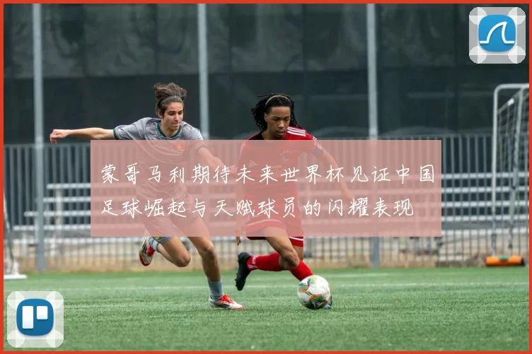 蒙哥马利期待未来世界杯见证中国足球崛起与天赋球员的闪耀表现
