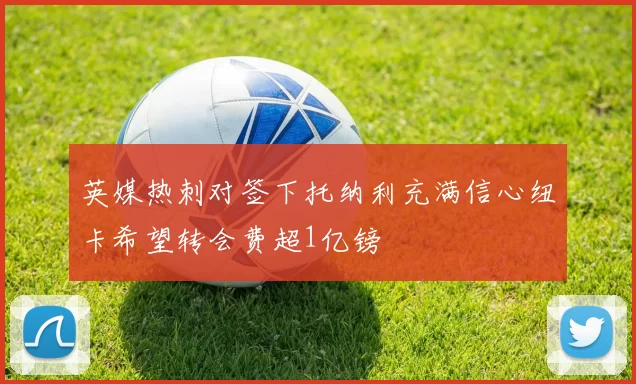 英媒热刺对签下托纳利充满信心纽卡希望转会费超1亿镑