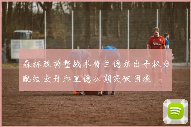 森林狼调整战术将兰德尔出手权分配给麦丹和里德以期突破困境